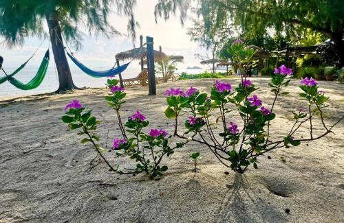 Baan Tai Resort | Relax at SeaEsta Beach with Ocean Views & Private Pool