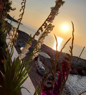 Ardesen Apartment | Seafront Apartment with Beach Access and Lush Garden