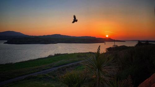 Ardnatrush House | Gunpoint Lodge in Schull, West Cork with Private Pier Access