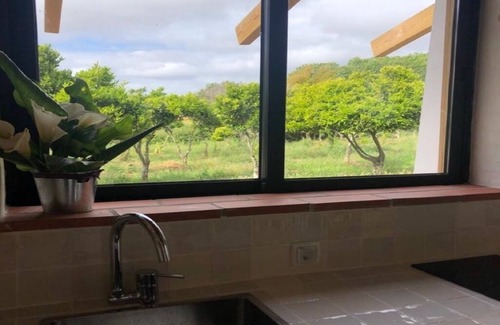 Porto Covo House | SeahouseNature: Family-Friendly Retreat with Private Pool