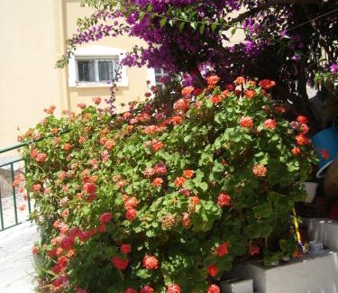 Lakka Apartment | Oceanfront Retreat: SEASCAPE Studio and Apts, Rated 9.4