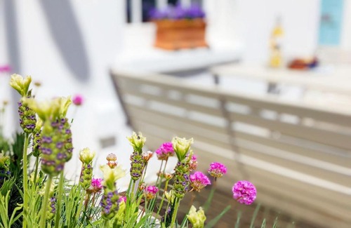 Worthing House | Discover Seashell Cottage - Family-Friendly Getaway in Worthing