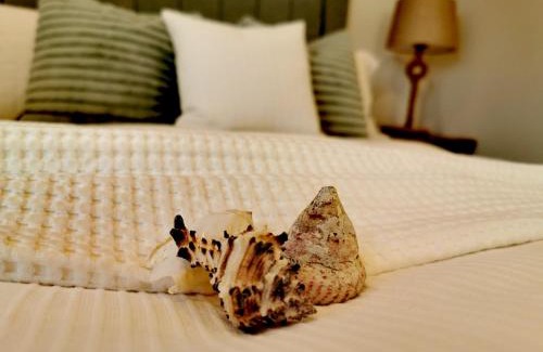 Burnham-on-Sea Apartment | Seashell Apartment: Oceanfront Retreat with Top Reviews