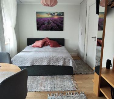 Engure Apartment | Seaside Apartment Albatross: Spa, Pool & Ocean Views