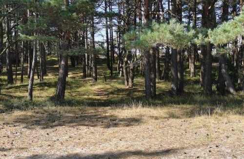 Ellos House | Affordable 4-Person Holiday Home in ELL S, Pet-Friendly Stay