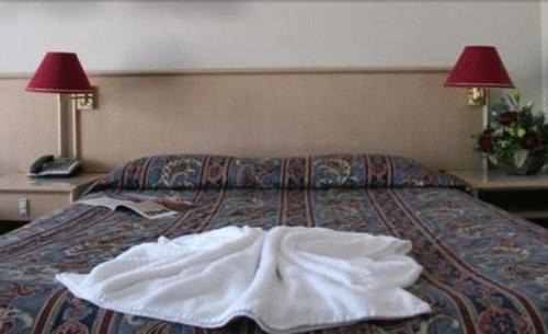 Wamberal Resort | Relaxing Seaside Garden Retreat with Pool and Pet-Friendly Stay