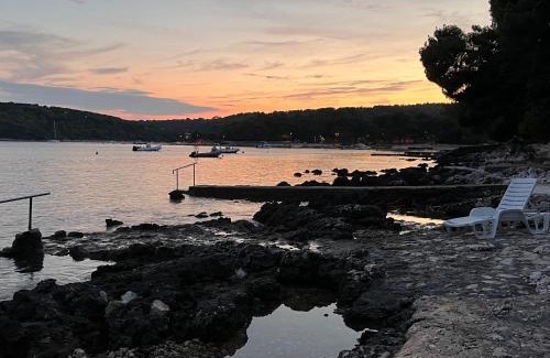 Artatore Apartment | Pet-Friendly Apartmani Čubrić with Ocean View in Mali Lošinj