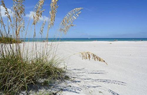 Indian Rocks Beach Apartment | Cozy Oceanfront Retreat Cottages with Pool & Pet-Friendly Stay