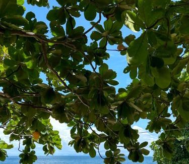 Nuea Khlong Hotel | SeaSmile Beach Resort Koh Jum Formerly Sunsmile