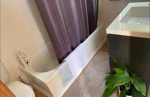 Miramar House | Seatoun Seaview
