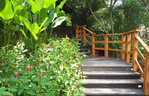 Laem Set Apartment | Oceanfront Seaview Apartment at Casavela Samui - 4 Stars