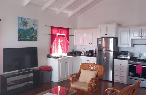 Rodney Bay Condo | Oceanfront Seaview Condos with Family-Friendly Amenities