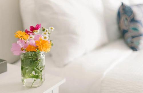Sebasco Estates Hotel | Pet-Friendly Sebasco Harbor Resort with Ocean Views and Pool