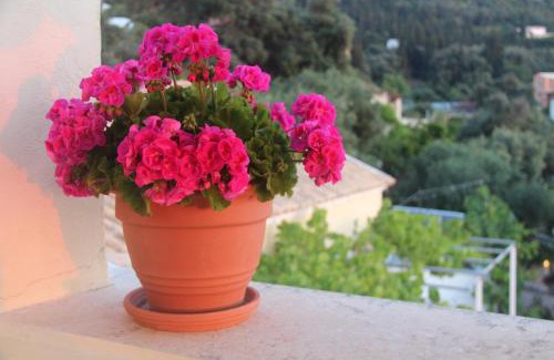 Agios Gordios Apartment | Relax at Sebastian's by Agios Gordios Beach - Rated 9.5/10