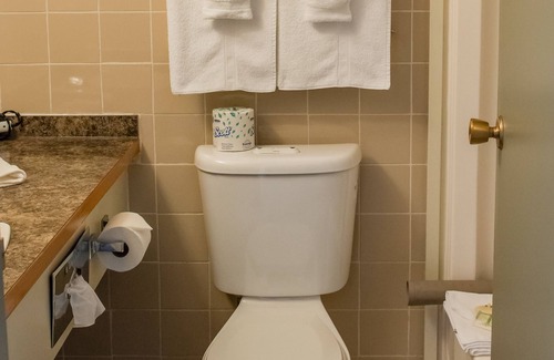 Downtown Hotel | Comfortable Stay at Driftwood Motor Inn with Family Amenities
