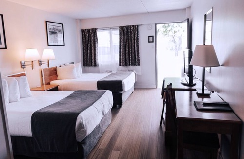 Downtown Hotel | Comfortable Stay at Driftwood Motor Inn with Family Amenities
