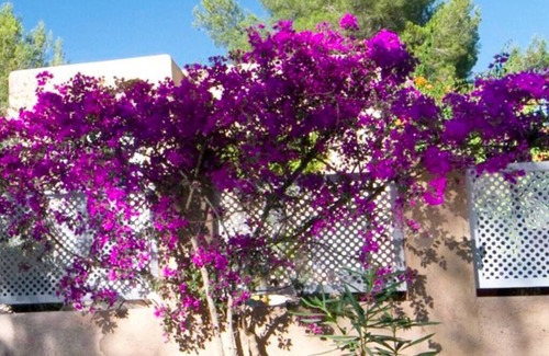 Sant Josep de sa Talaia Villa | Private Villa with AC in All Bedrooms - Guest Rated 10/10