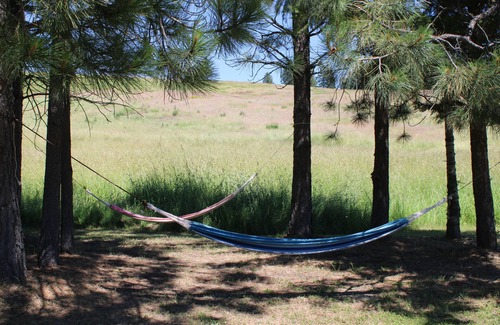 Harvard House | Rural Retreat on 77 Acres - Perfect for Family Getaways
