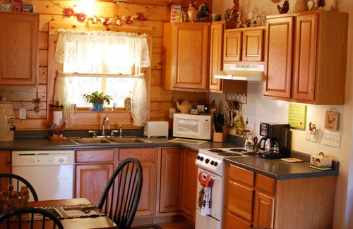 Asheville Cabin | Private Retreat with Hot Tub & Fireplace Near Asheville