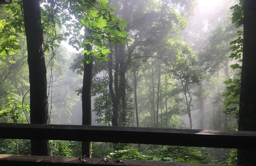 Blue Ridge Cabin | Relaxing Cabin Retreat in Aska Adventure Area