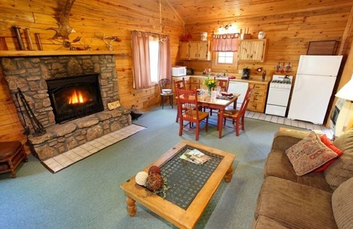 Eureka Springs Cabin | Cozy Cabin Retreat with Jacuzzi Tub and Pet-Friendly Vibes