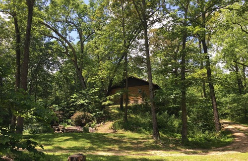 Eureka Springs Cabin | Cozy Cabin Retreat with Jacuzzi Tub and Pet-Friendly Vibes