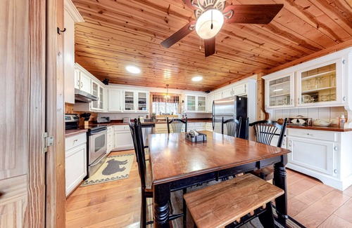 Wiley Cabin | Dog-Friendly Cabin with WiFi & Cozy Gas Fireplace Retreat