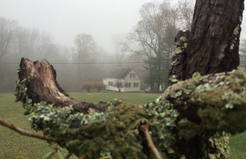 Oliverea House | Idyllic Retreat on 112 Acres with Spa & Pet-Friendly Perks