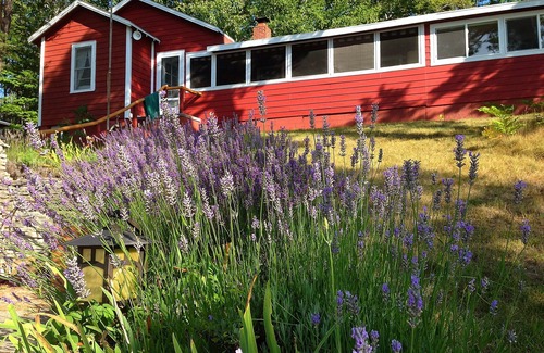 Lake Ann House | Idyllic Lake Ann Cottage: Pet-Friendly Retreat Near Traverse City