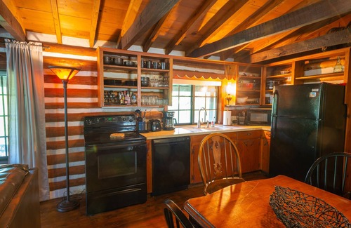 Branson Cabin | Relaxing Lakefront Cabin with Private Dock and Outdoor Grill