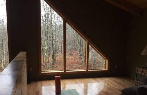 Town of Denning Cabin | Secluded Log Cabin in Slide Mountain Wilderness