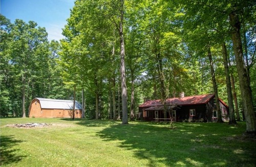 Avoca Cabin | Discover a Secluded Log Cabin with Scenic Trails in Howard NY