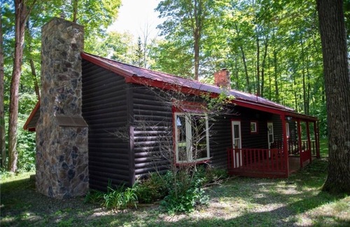 Avoca Cabin | Discover a Secluded Log Cabin with Scenic Trails in Howard NY