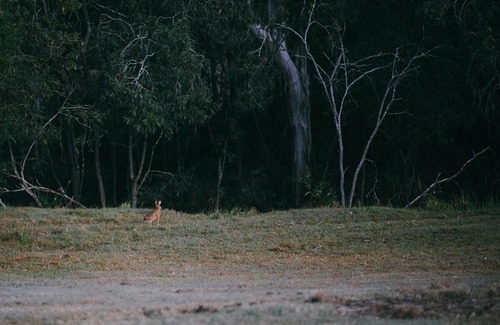 Flinders Lakes House | Secluded & Pet Friendly Cabin Deep in Nature - Zerya