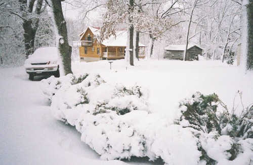Pamplin House | Serene Spring Creek Cabin with Hot Tub and Wildlife