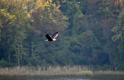 Mount Holly House | Secluded Waterfront Home w/Kayaks, Canoe, Swimming, Relaxing, Fishing!