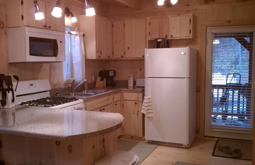 Damascus Cabin | Idyllic Retreat by Bold Creek with Pool & Pet-Friendly Stays