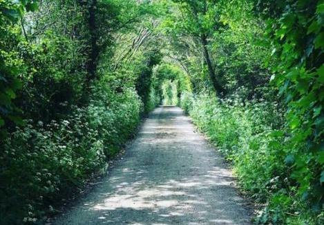 Mylor Apartment | Serene Woodland Retreat Near Mylor and Flushing - 4 Star