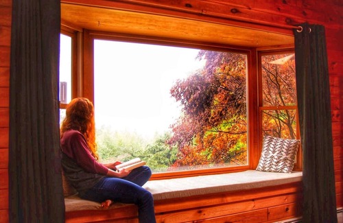 Roxbury Cabin | Inviting Secret Catskill Cabin with Pool & Pet-Friendly Perks
