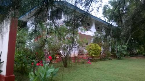 Irrakkakandi Hotel | Relaxing Retreat at Secret Escape Nilaveli Ayurveda Hotel