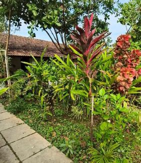 Palolem House | Secret Hill