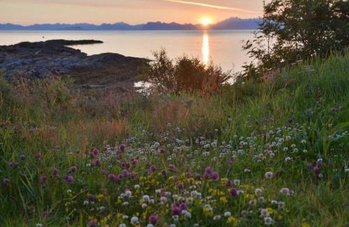 Bø House | Pet-Friendly Ro i Steigen: Oceanfront Bliss with 9.6 Rating