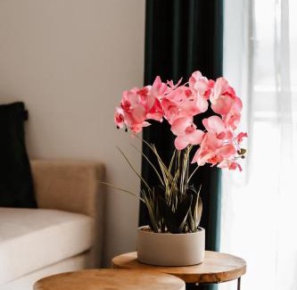 Faak am See Apartment | Seeblick Apartment: Guest Rated 9.4 & Family-Friendly Stay