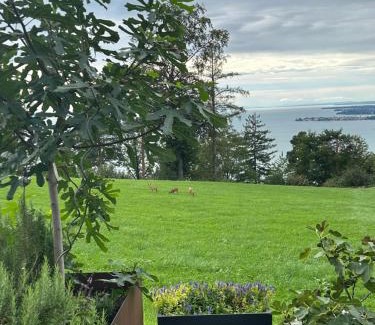 Lochau Apartment | Family-Friendly Seeblick Appartement with 9.9/10 Rating