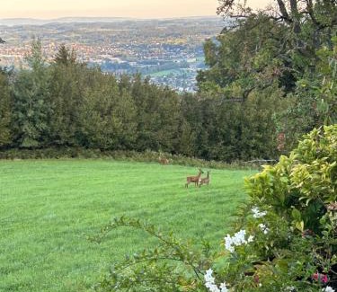 Lochau Apartment | Family-Friendly Seeblick Appartement with 9.9/10 Rating