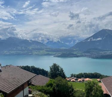 Aeschlen ob Gunten House | Seeblick: Oceanfront Escape with Pet-Friendly Comfort