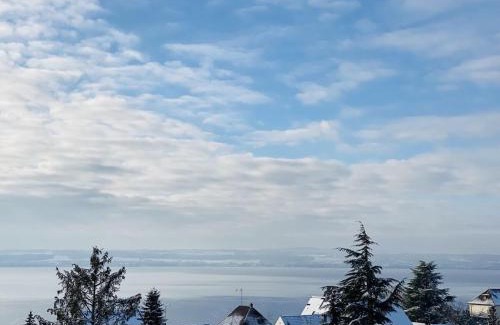 Meersburg House | Seeblick Comfortable holiday residence