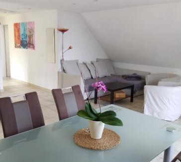 Konstanz-Dingelsdorf Apartment | Experience Seeblick Imperia: Guest Rated 9.2/10