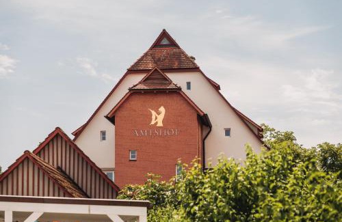 Langenargen Hotel | Oceanfront Bliss at SeeHotel Amtshof - Rated 9.3/10