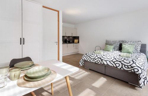 Ohningen Apartment | Comfortable Seenahes Apartment C5 in Öhningen, Pet Friendly